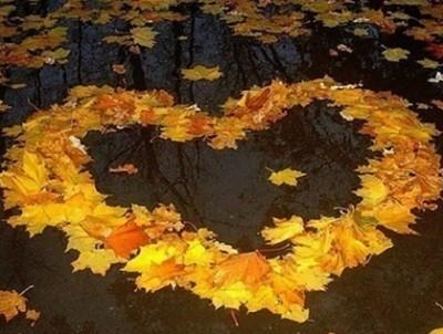 Под листьями желтеющего клёна