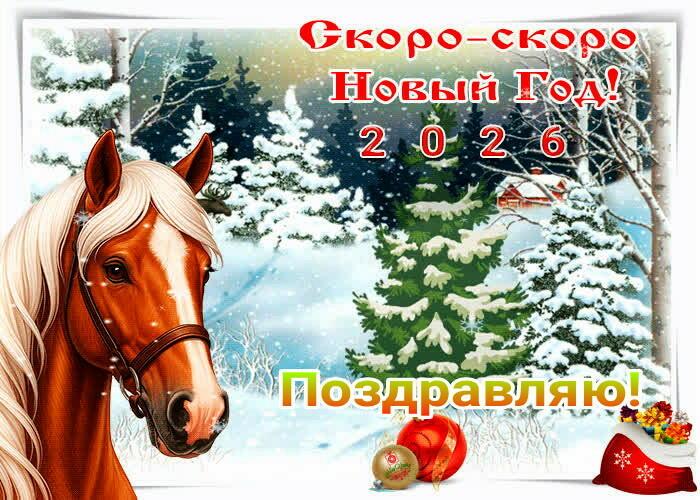 Предновогодняя ночь