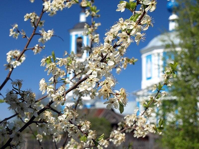 "Не верит мне Господь..." (27.04.2021)