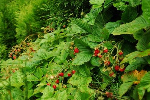 Неоценима эта связь...