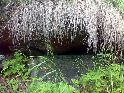 Прошла горячая зима