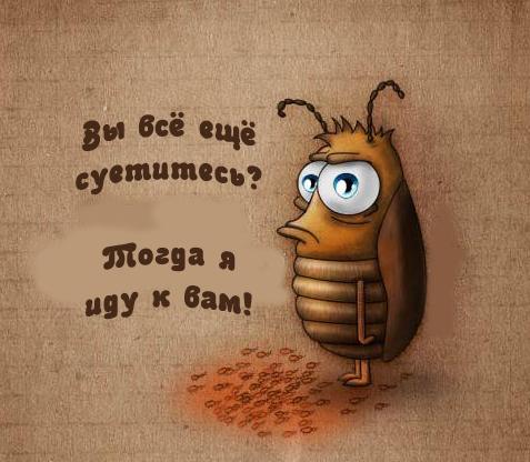 Поздравление начальнице СЭС г.Ташкента