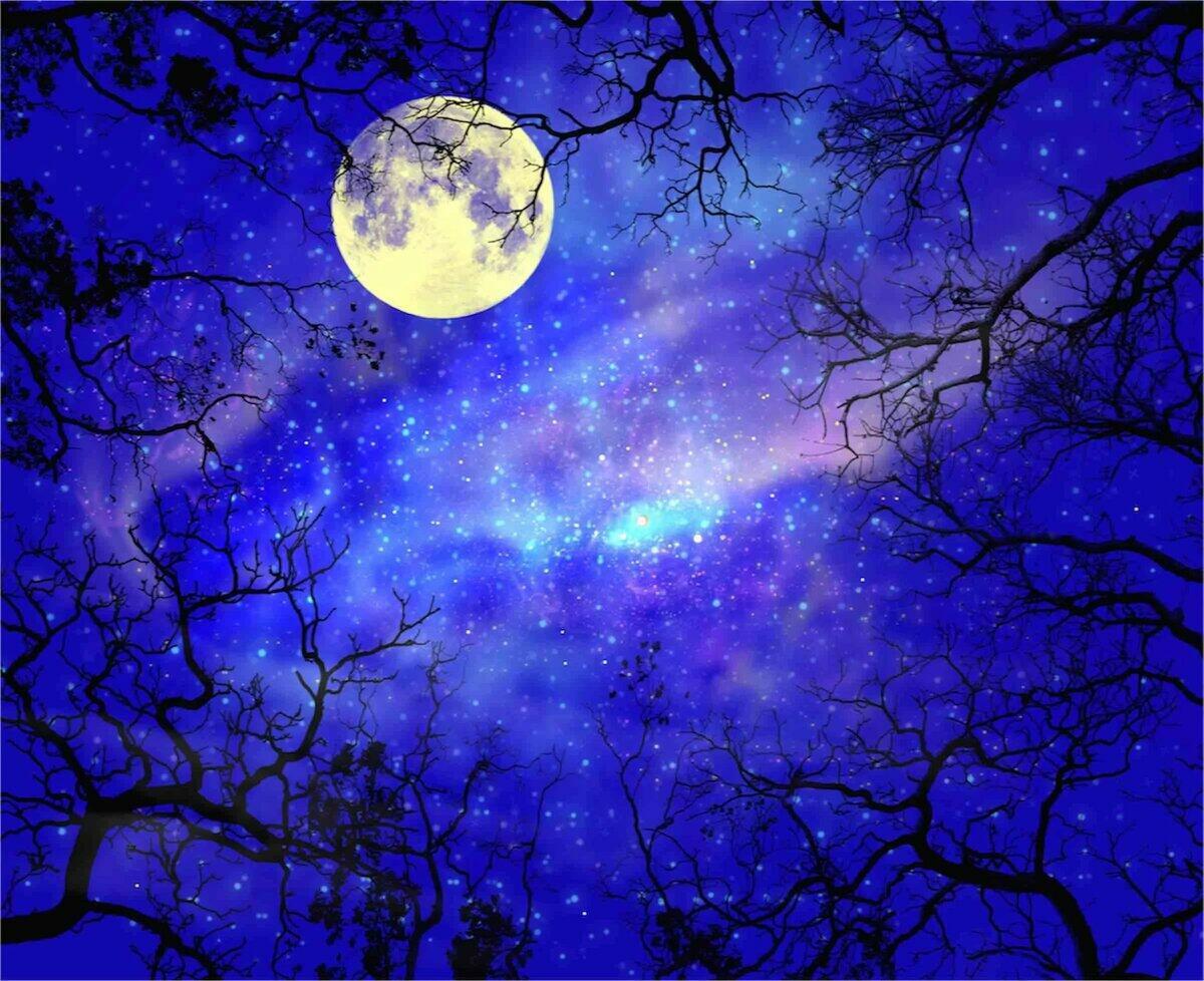 Ночная небо звезды луна. Ночь Луна. Фон ночь. Ночная Луна. Красивая Луна.