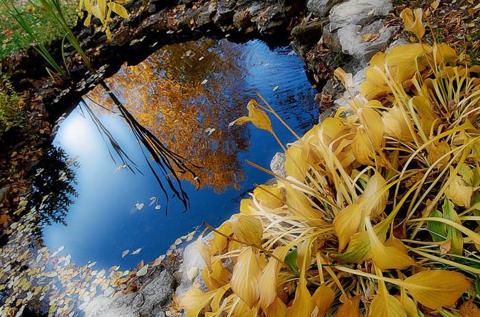 Серия... Диалоги с... Ольгой.