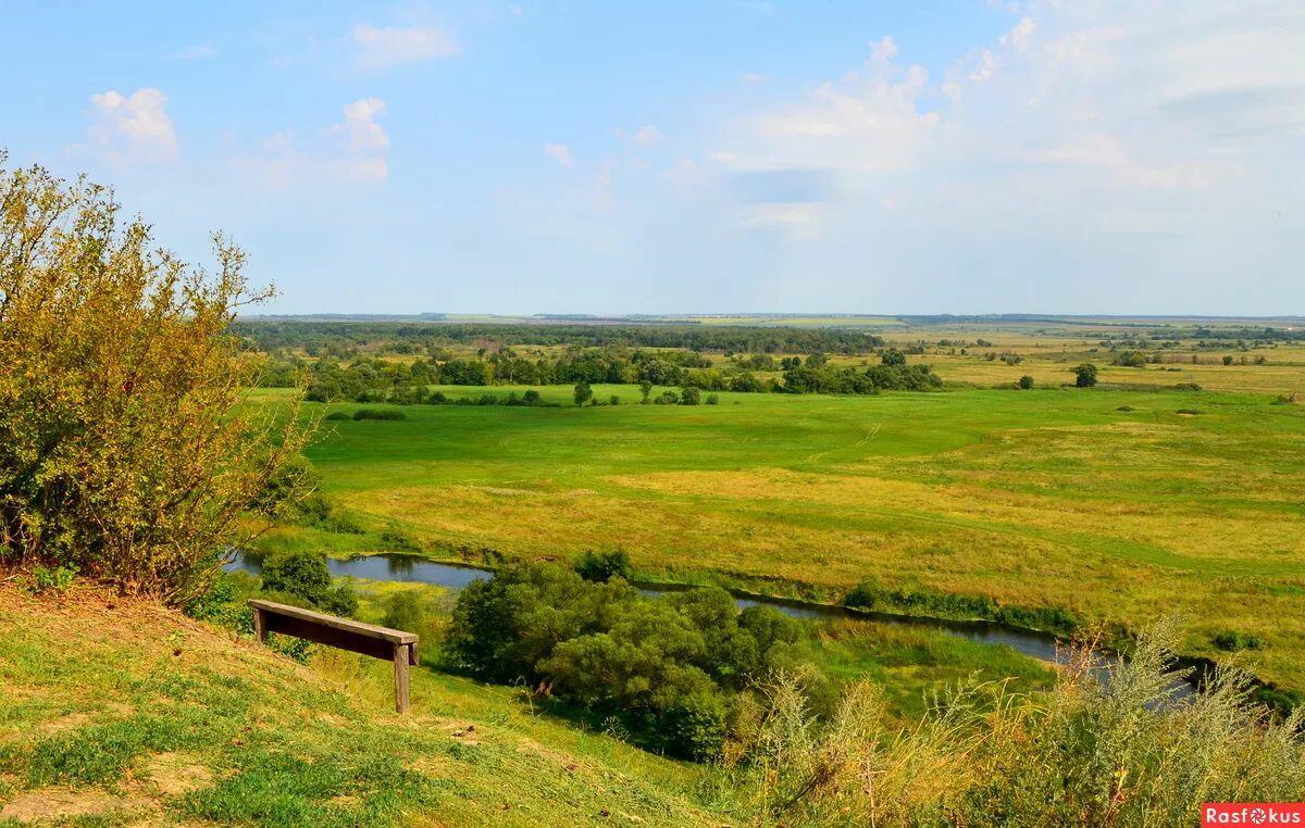 Новый год 2026