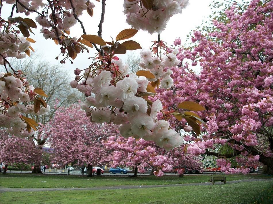 Утро весеннее!
