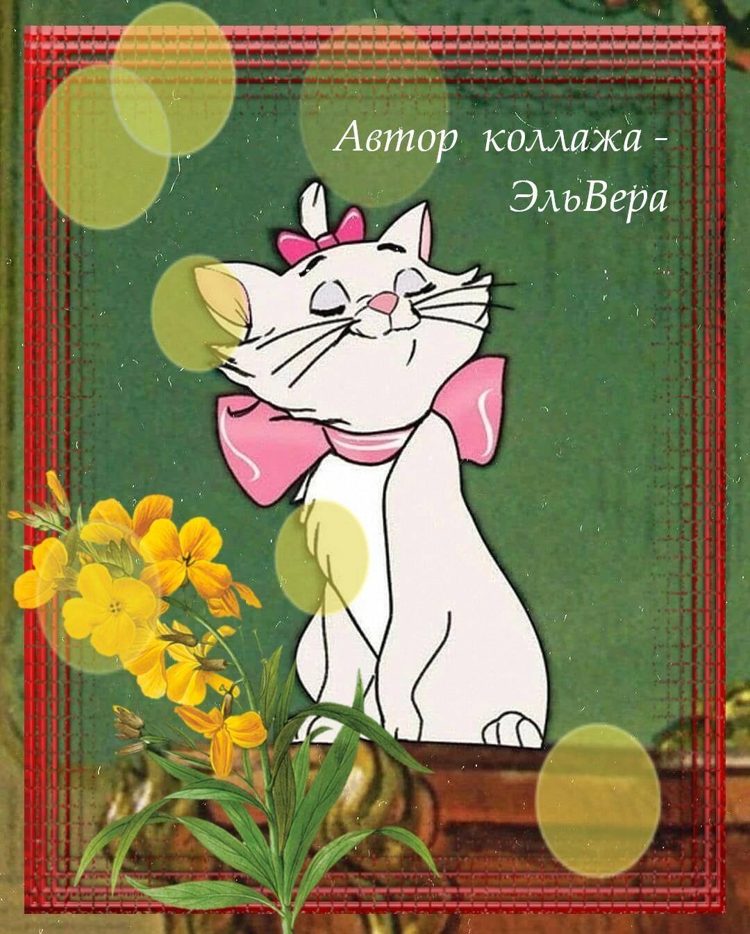 ...кошка - одоМашка...(монолог)...