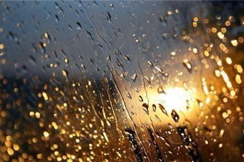 Озябший дождь.