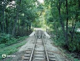 Сжимаю хлыст