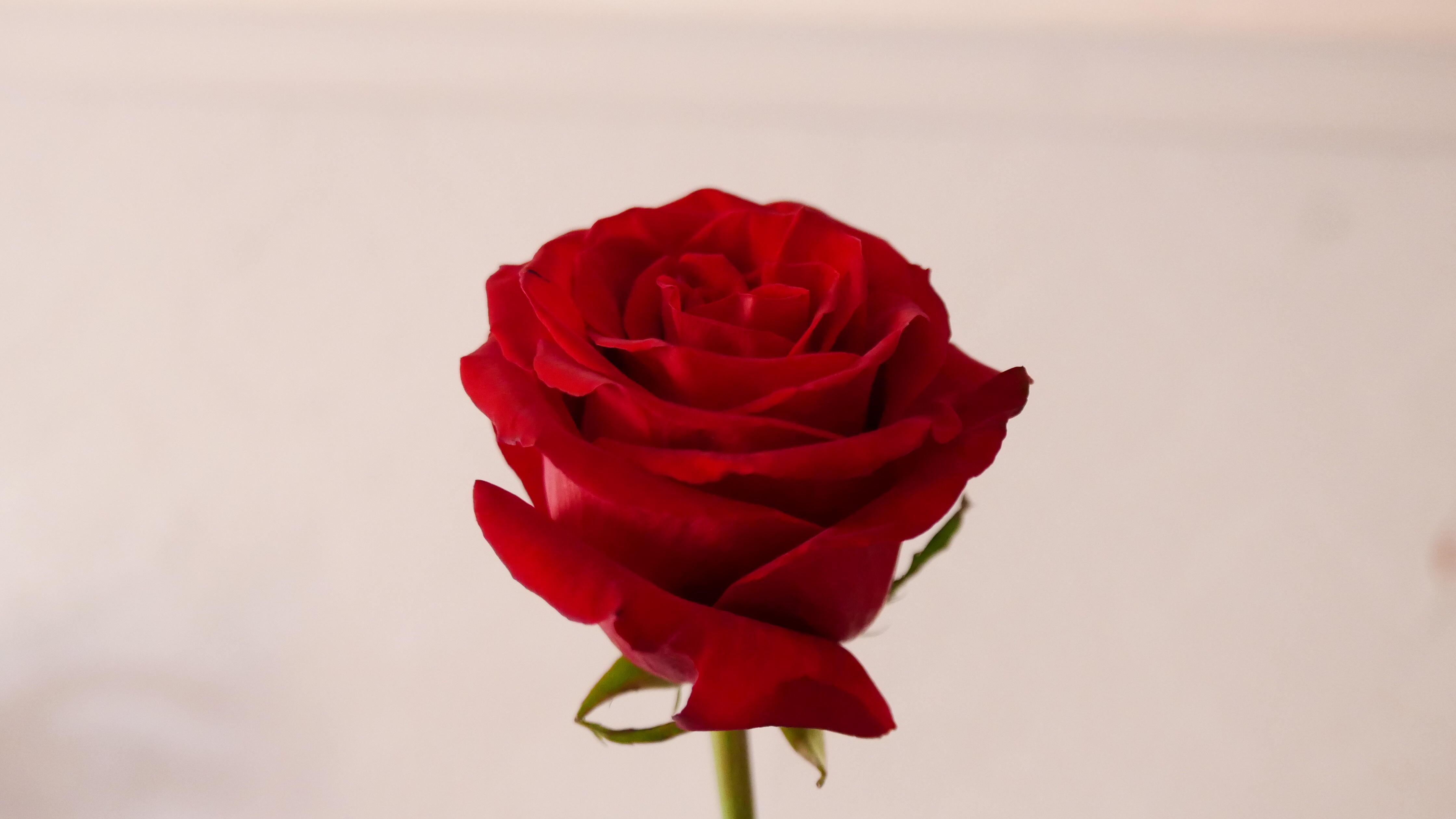 Не буду думать о плохом...