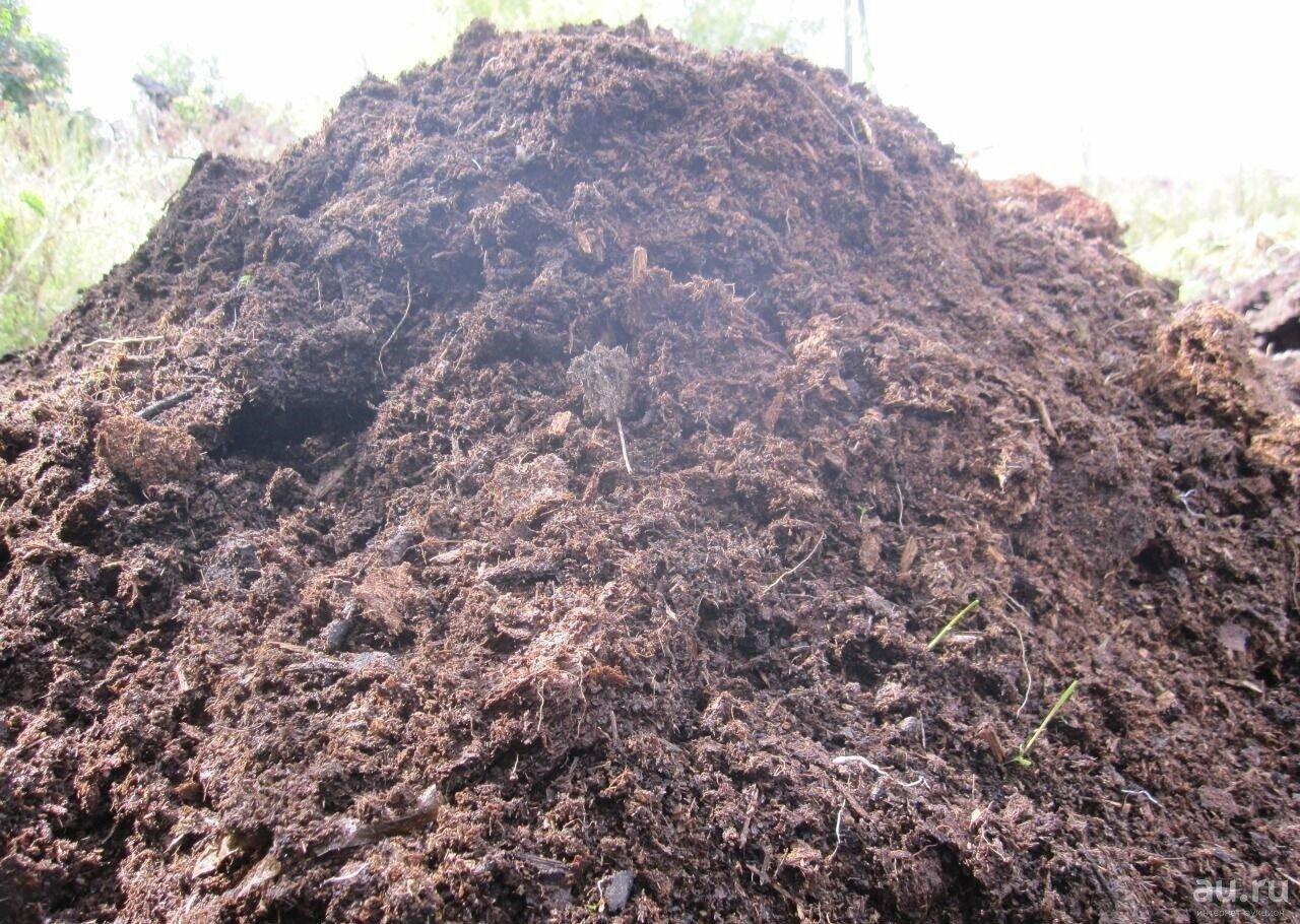 Я ненавижу когда много дерьма... 