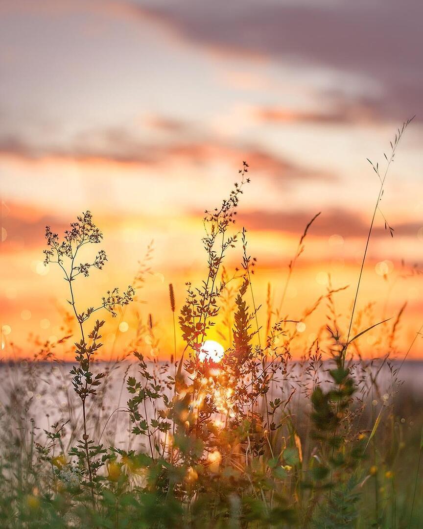 "Закат или рассвет?" (06.10.2019)