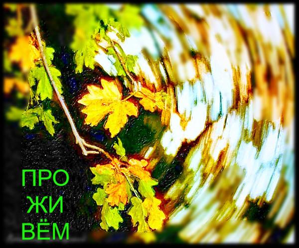 Проживём...