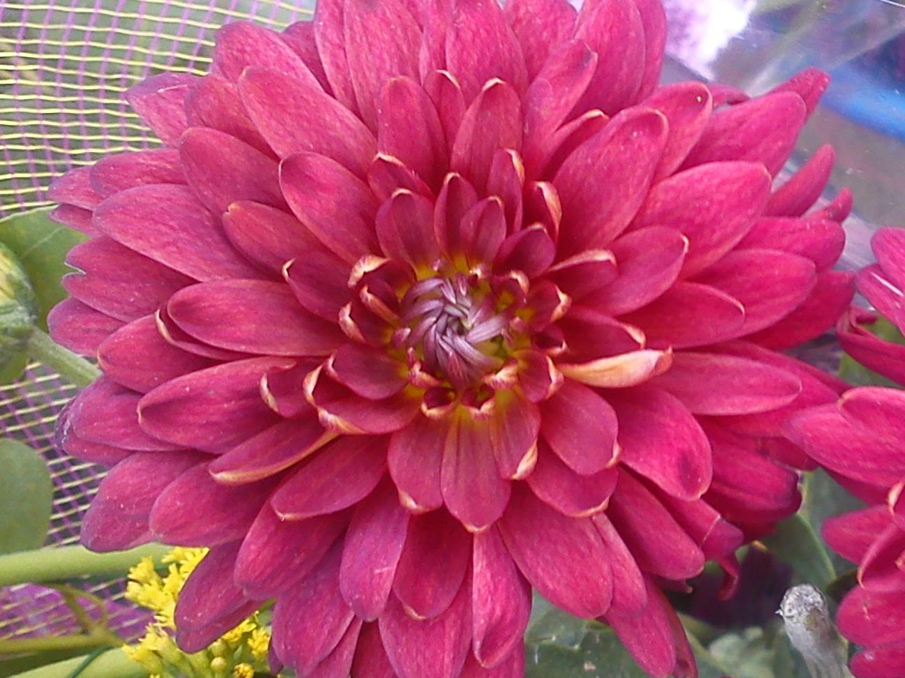 Притчи, глава 6 - перевод с иврита