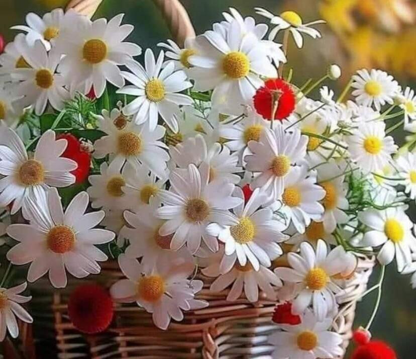 Непокорными были Богу