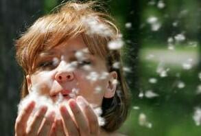 Летняя метель