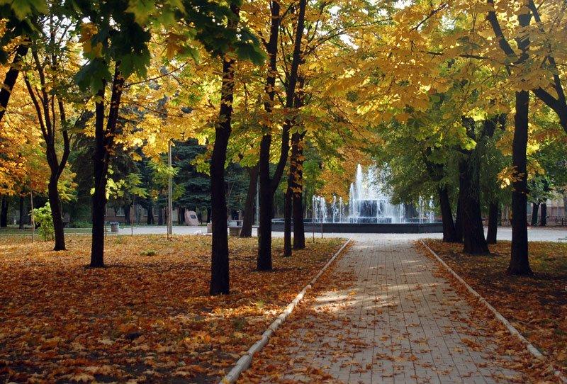 "В нашем сквере..." (14.06.2016)