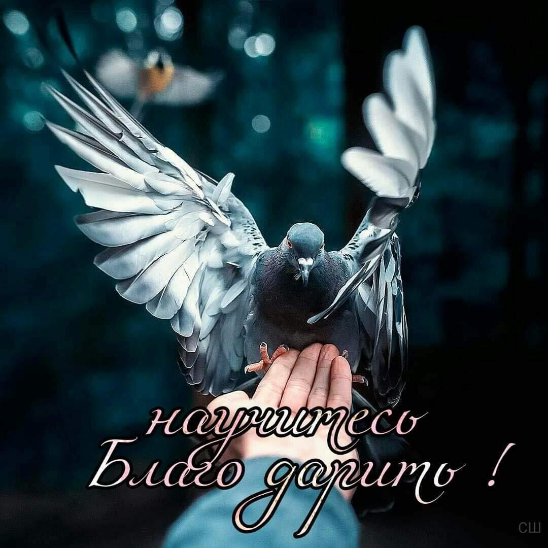 СПОСОБНЫ ВЫ БЛАГОДАРИТЬ?