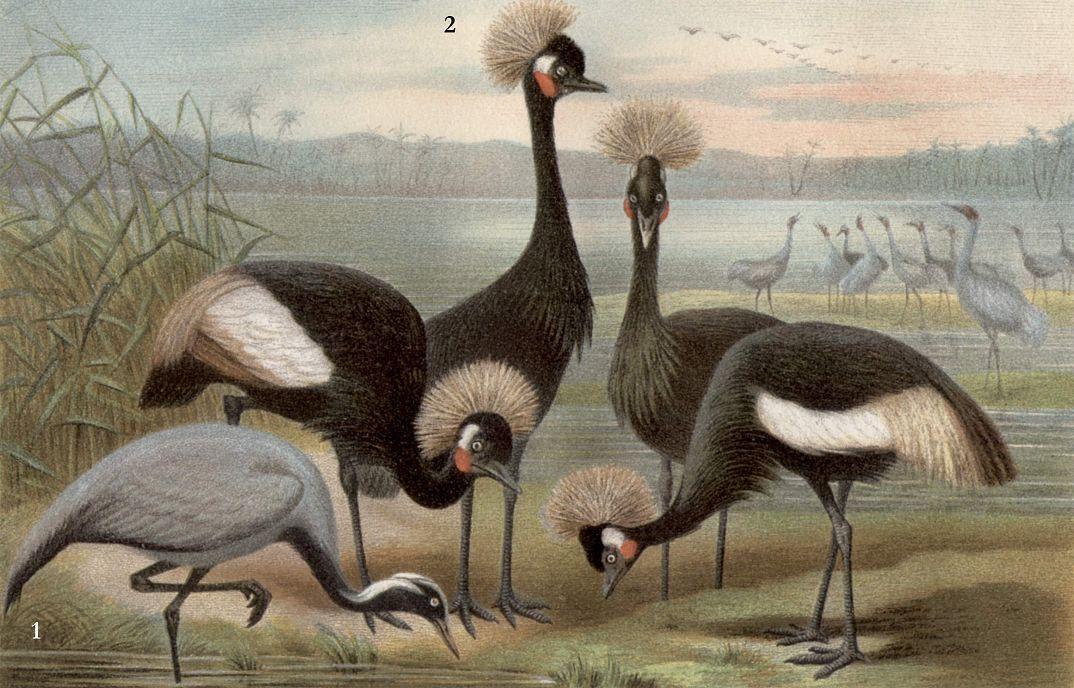 Замкнётся круг...