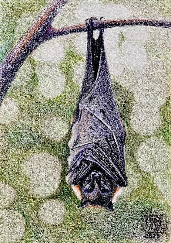 Мысли и домыслы... (688)