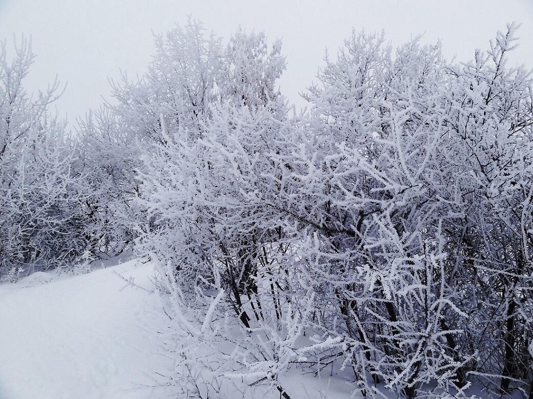 Бело-бело