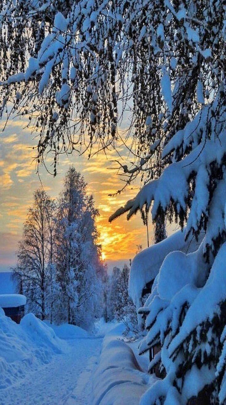 Зима. Спустилась тихо с горочки...