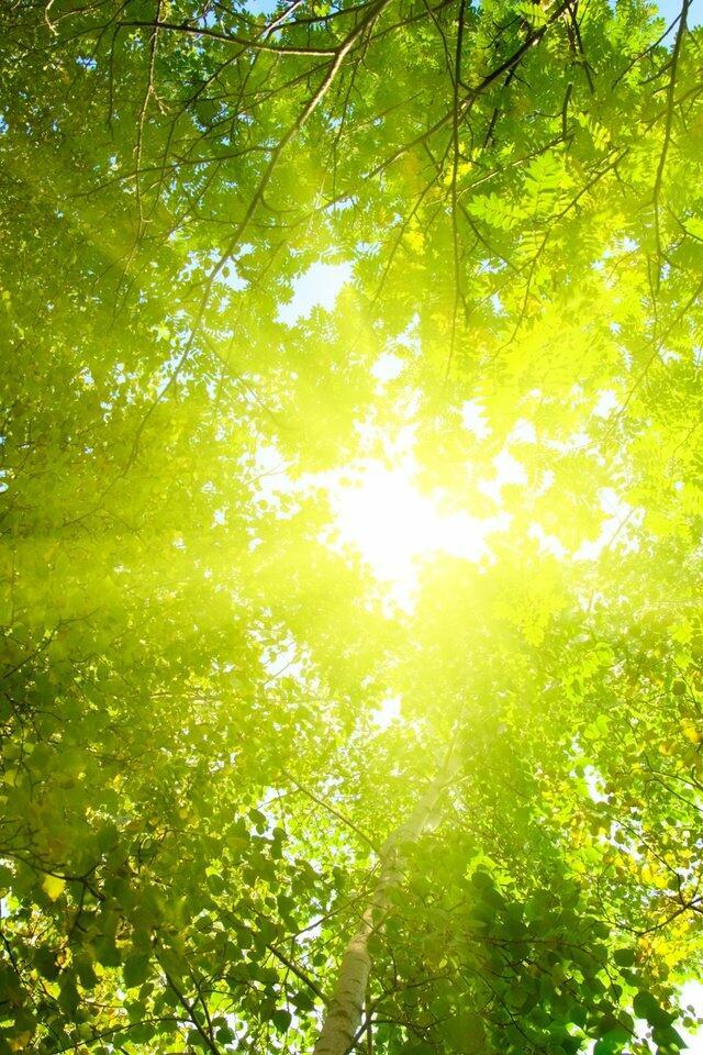 Я останусь в тебе .