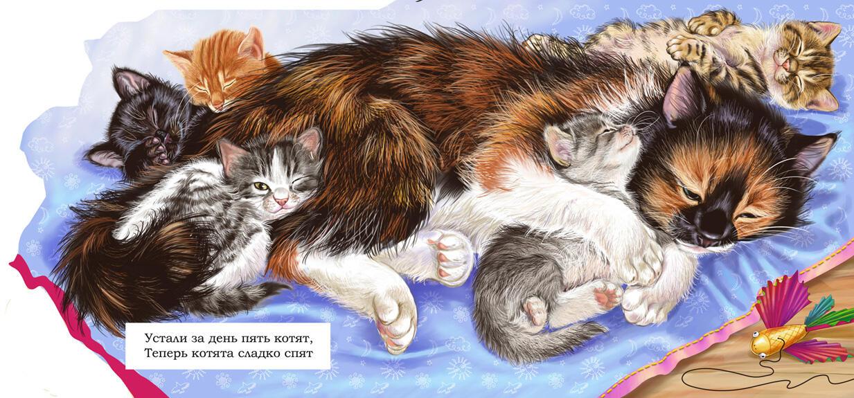 3 котенка спать. Кошка и котенок для детей. Картинки кошек и котят.