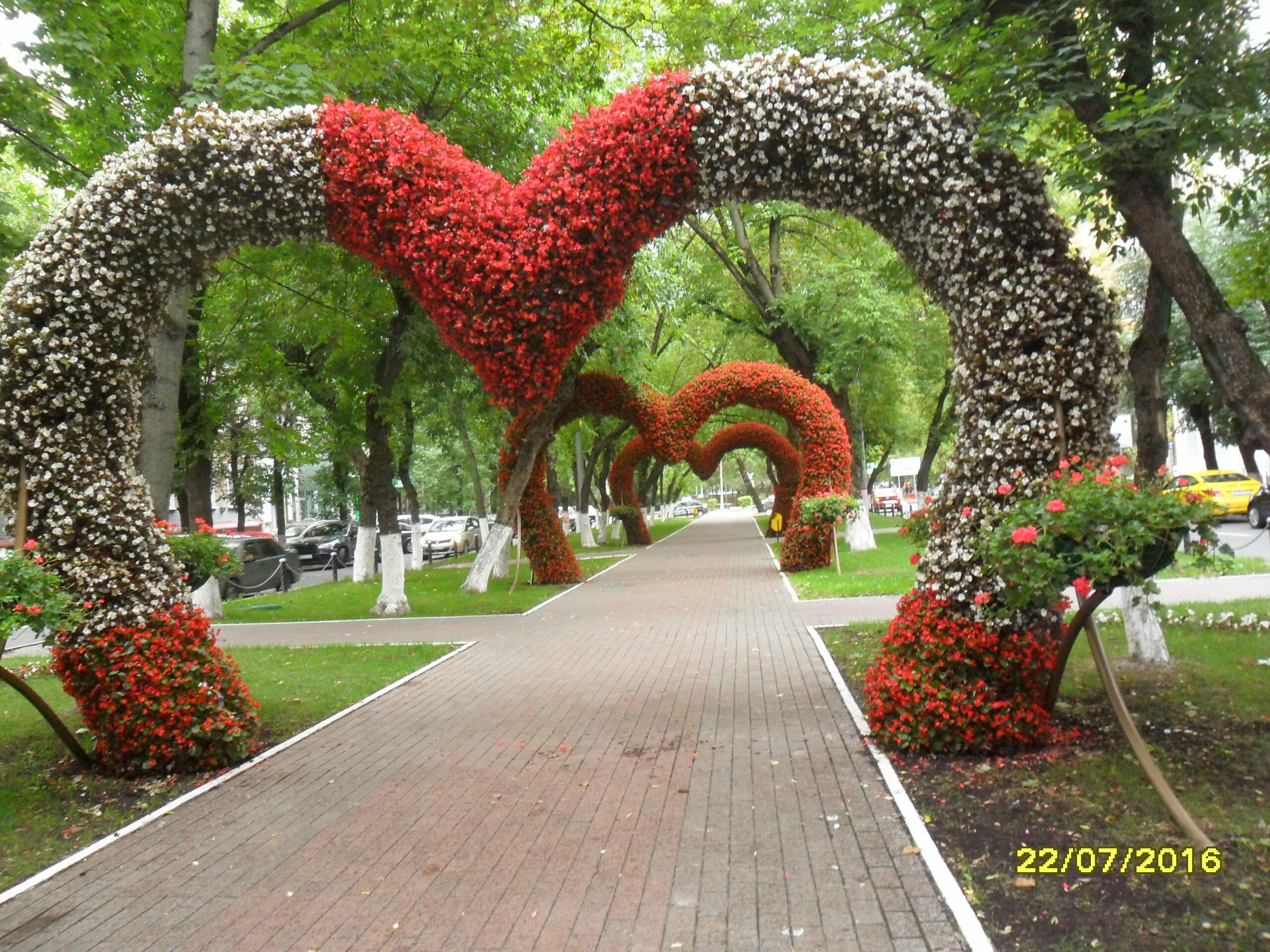 Пишу все стихи с грустинкой