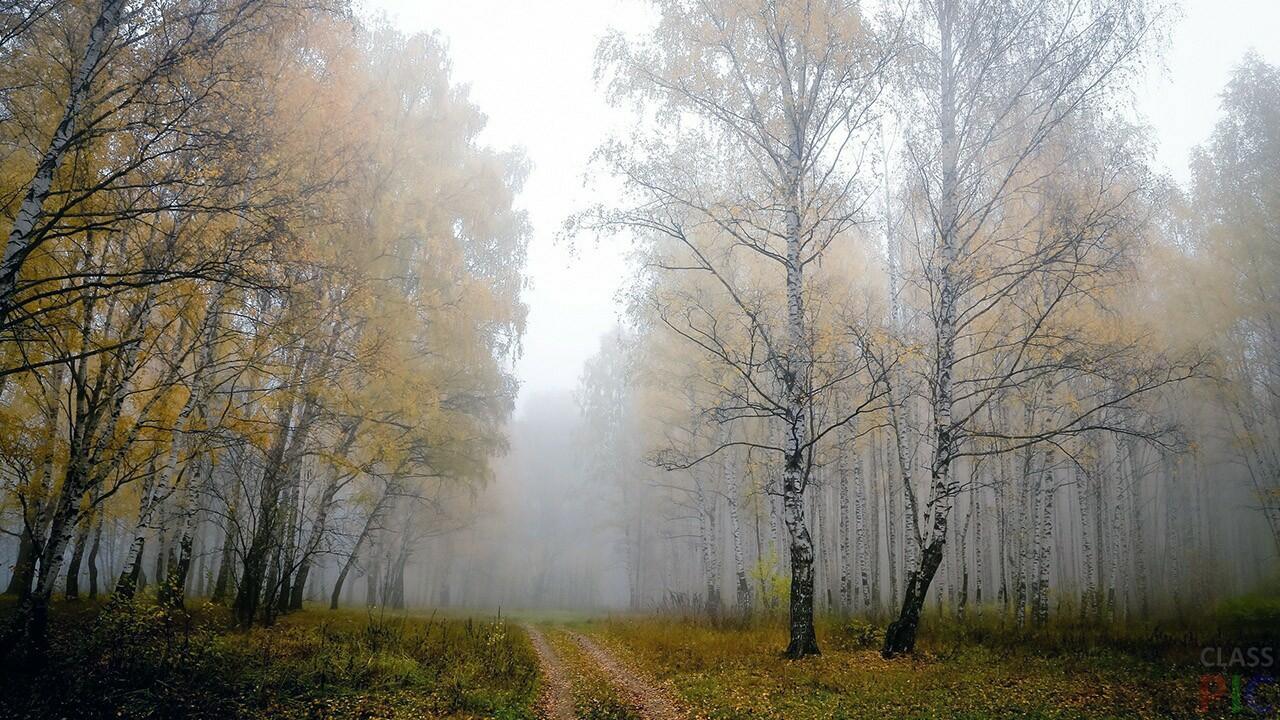 ПЕЙЗАЖНЫЙ РОМАНС