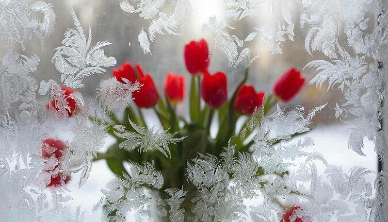 Говорят, что скоро потеплеет... (добавлена аудиоверсия)