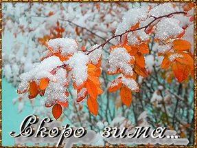 ВЫШЕЛ УТРОМ РАНО.