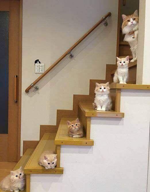 ПРИШЛА ПОРА ЗНАКОМИТЬСЯ - с улыбклй