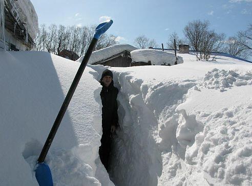 Старая дача