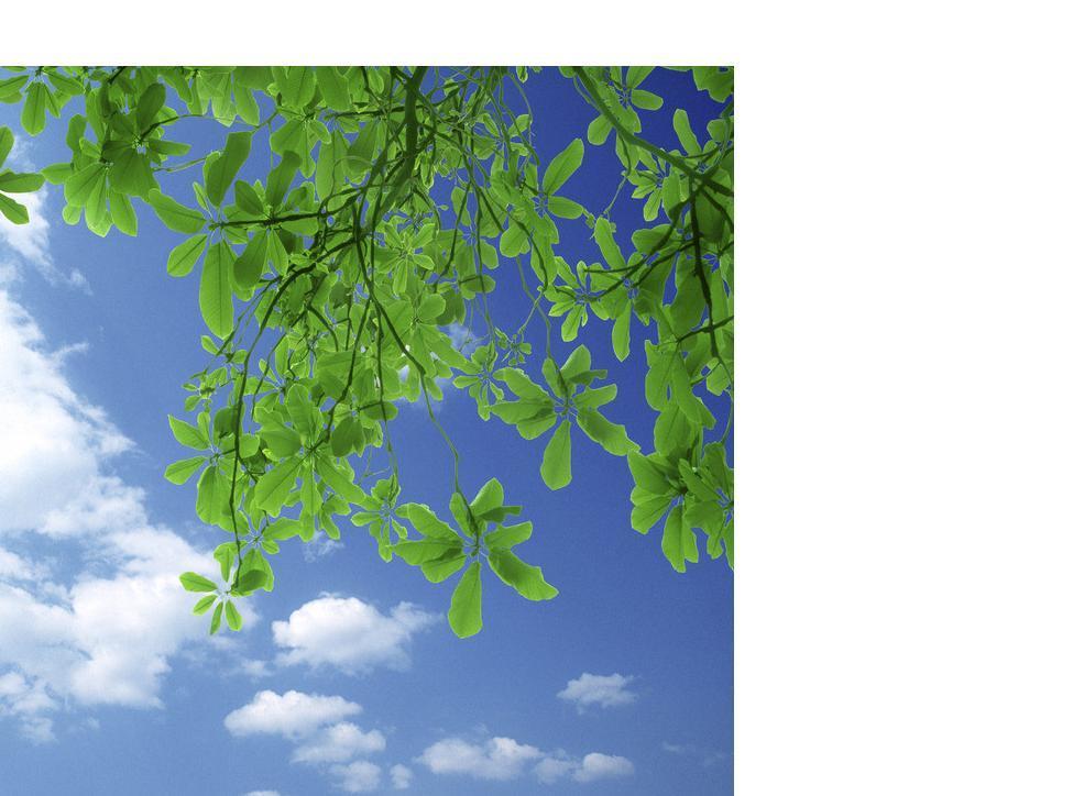 Код, номер, пароль