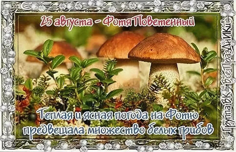 Народные приметы 25 августа 2021 года