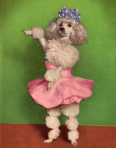 С ДОБРЫМ УТРОМ !!!