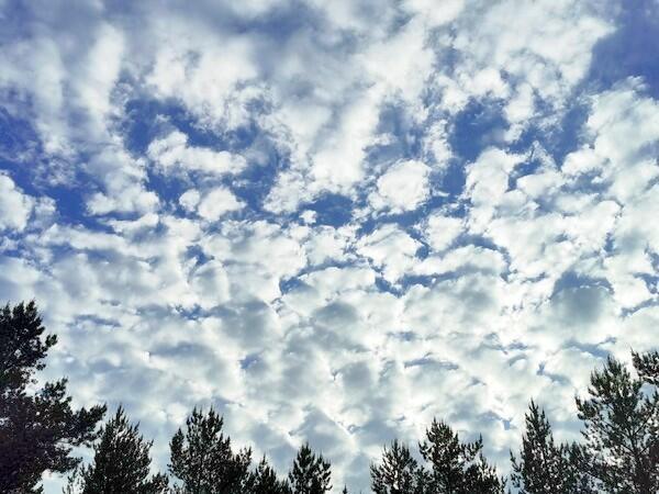 ДУМАТЬ ЛЕНЬ