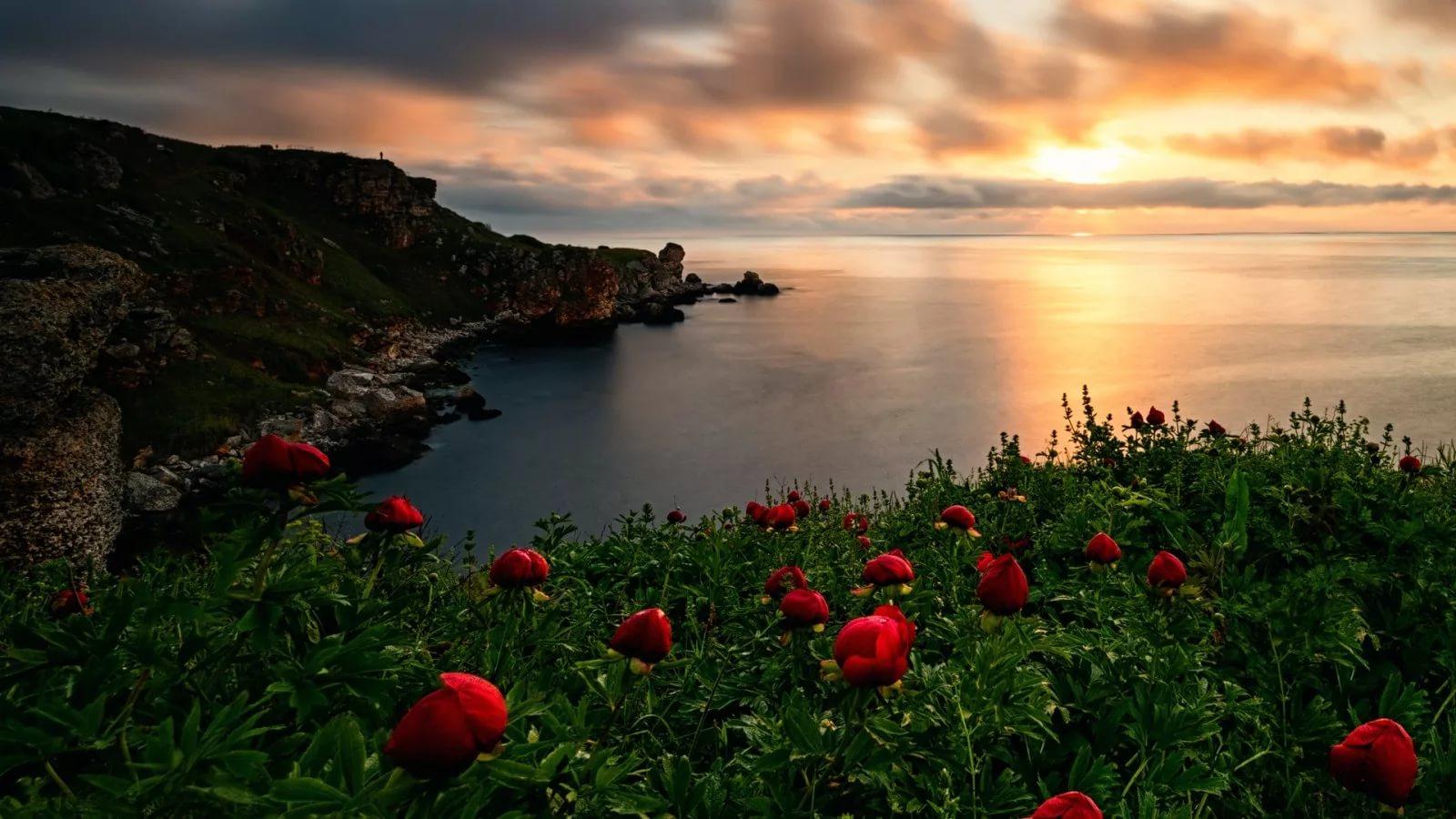 Подарите счастье.