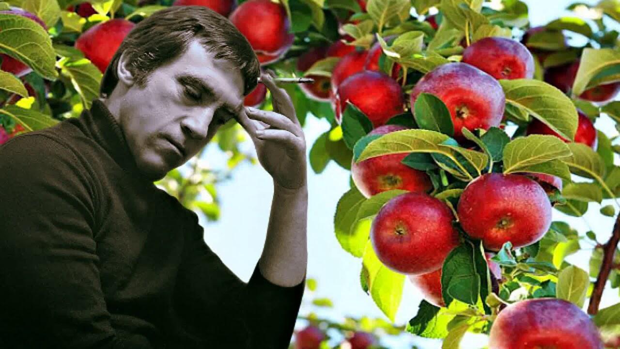 Владимир Высоцкий. Райские яблоки