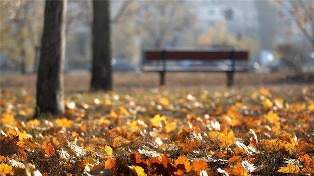 И шелест листьев нам не в тягость