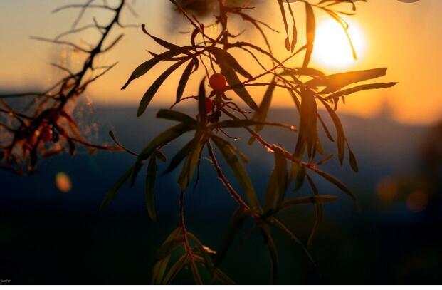 Вечер в деревне