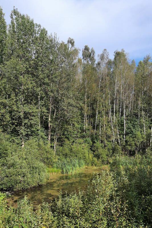 Конец августа