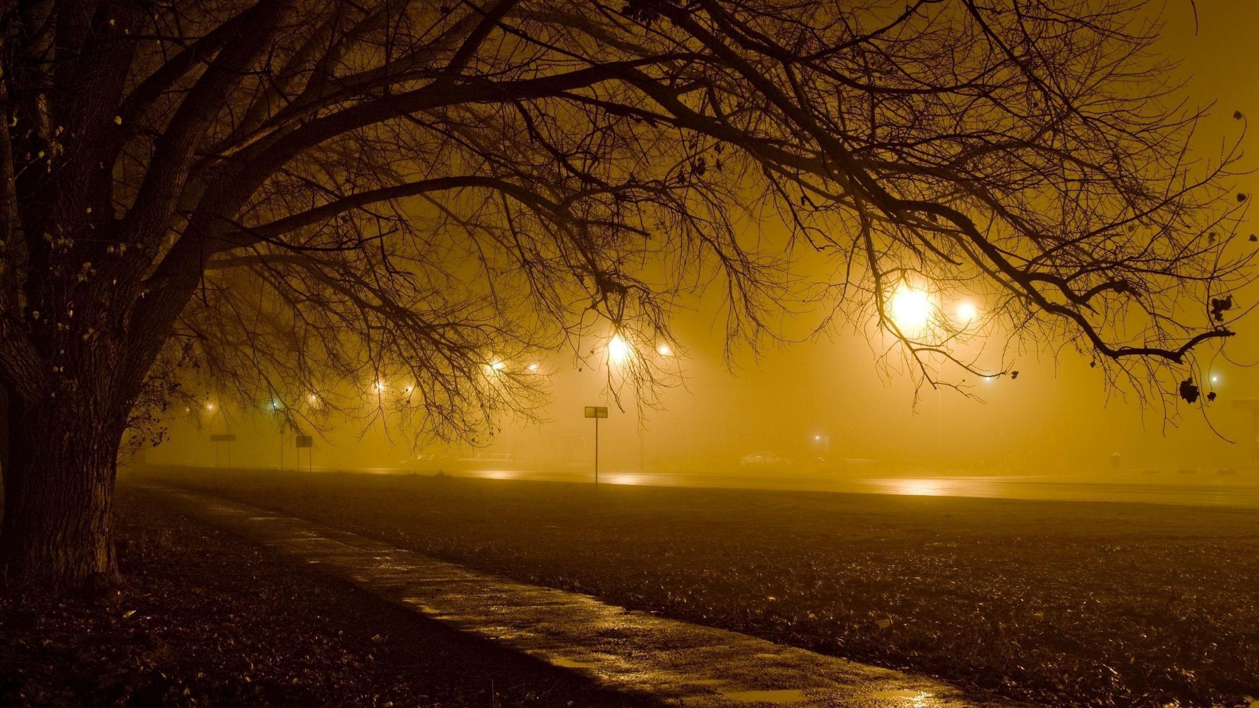 Приглушен свет...