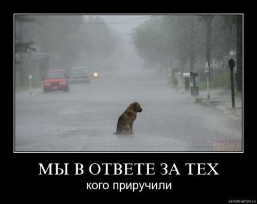 Ты сделал мне больно, теперь ты доволен?