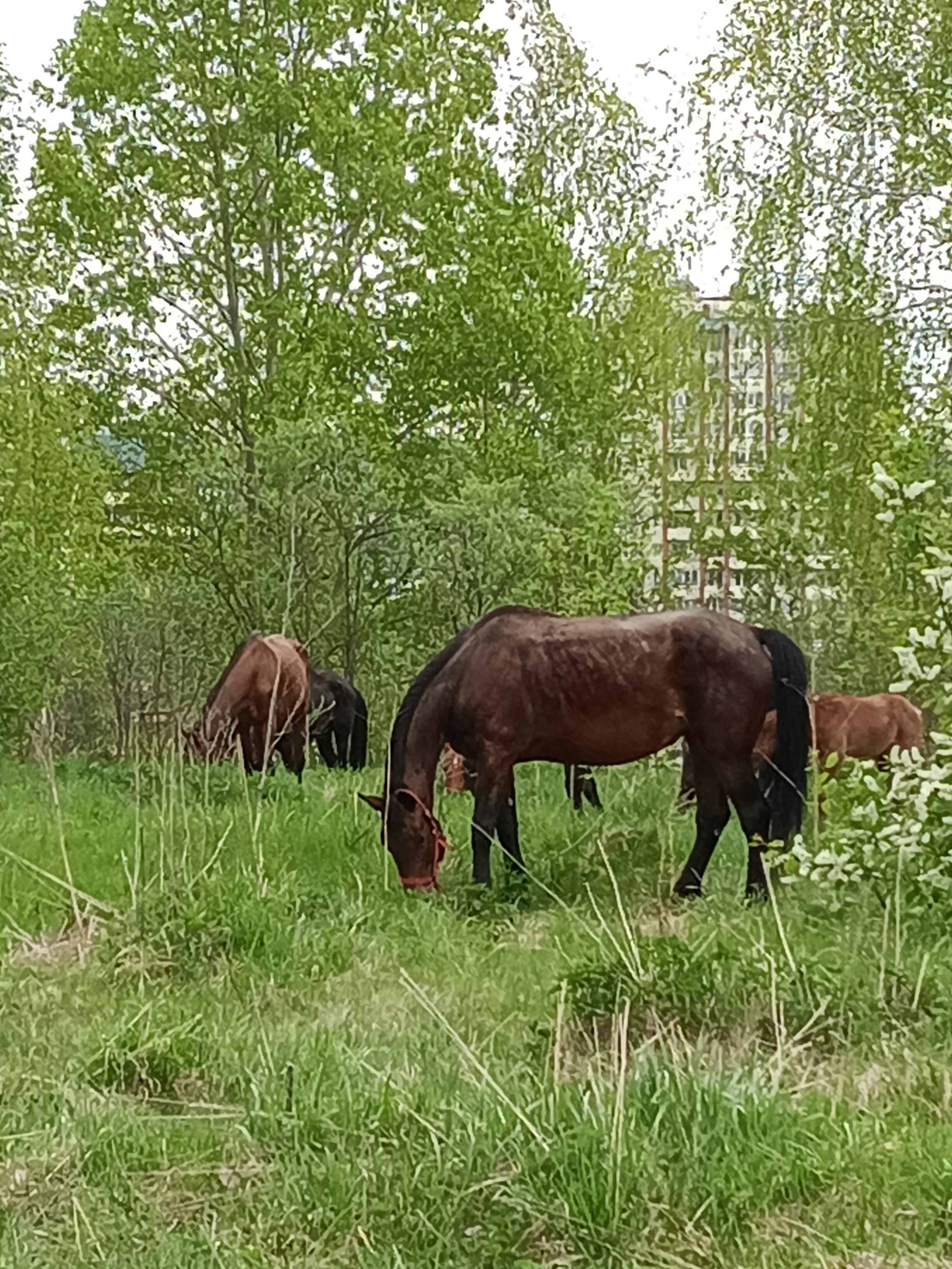 Долгожданное время года