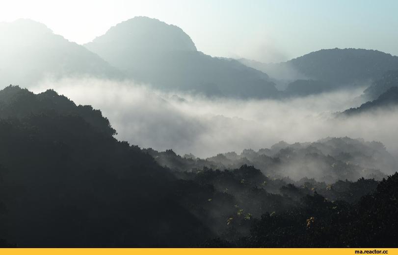 Холодный туман