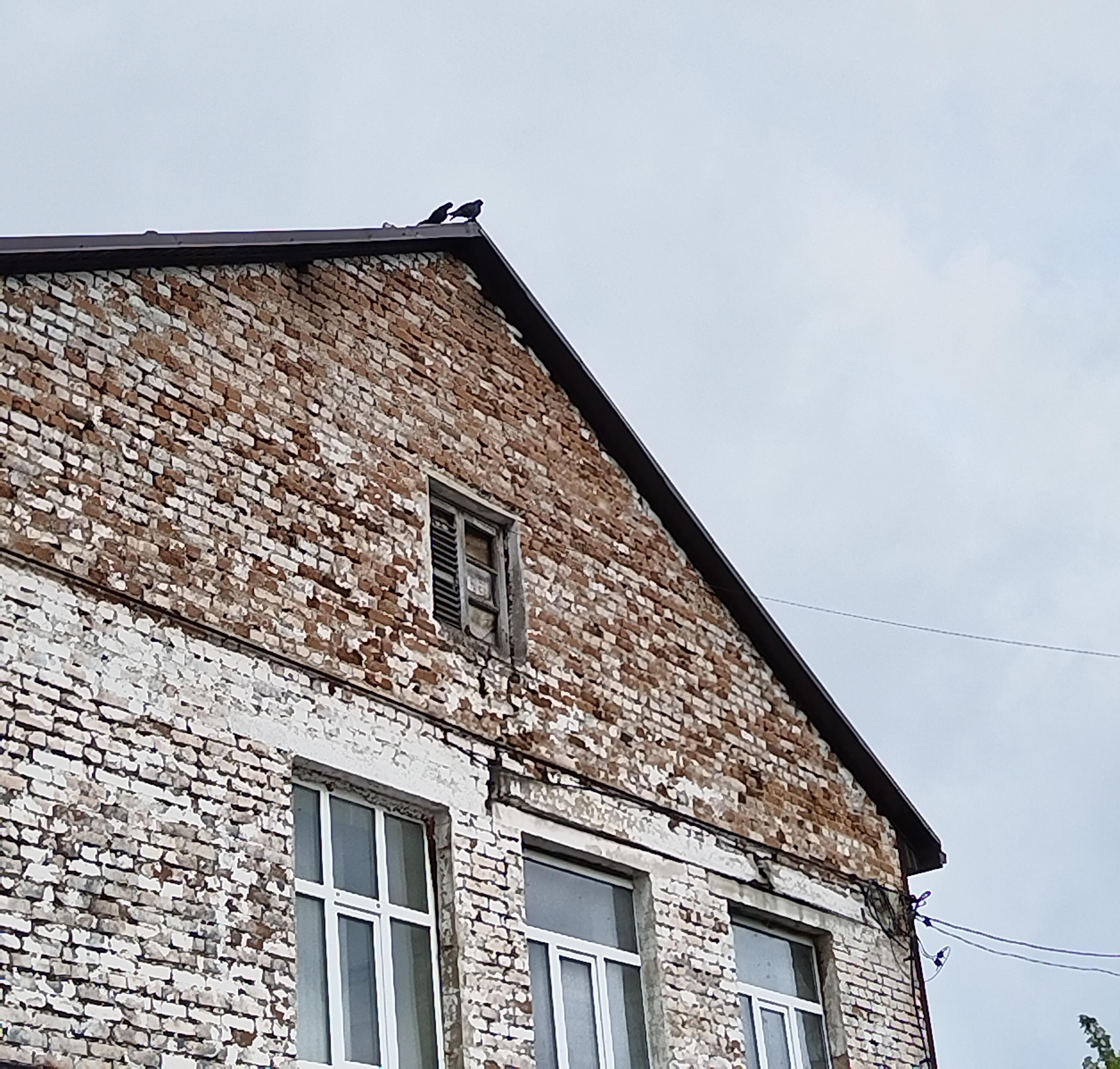 «Остановка в никуда»