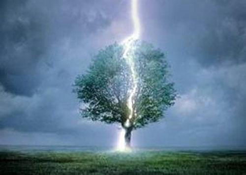 Дуб могучий