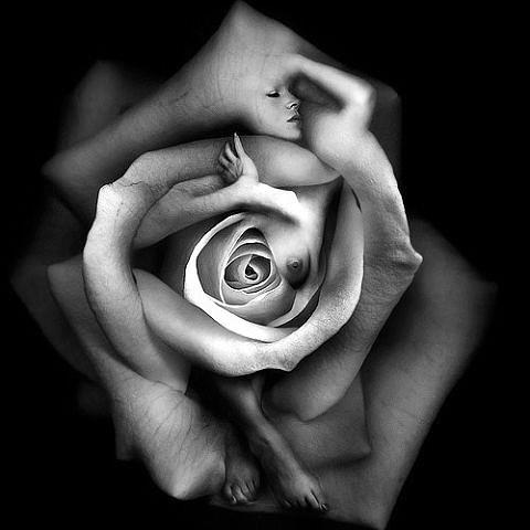 ... а я живу - живая!